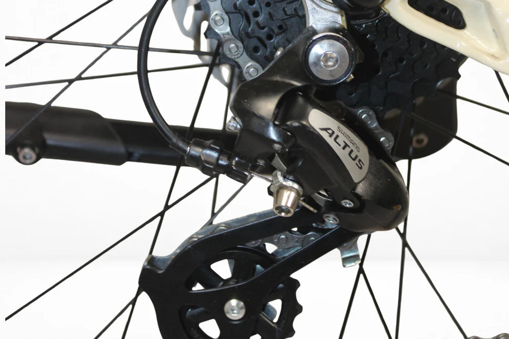 Roxform Stride-S Step through eBike