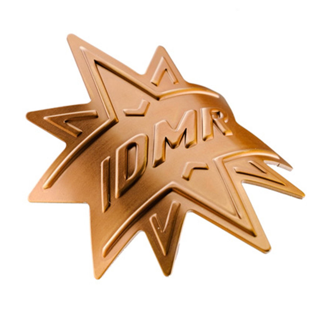 DMR - Spare - Trailstar Head Badge